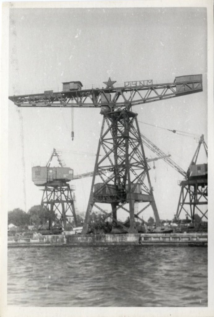 VVM-32314252-Osta-1956-691x1024.jpg