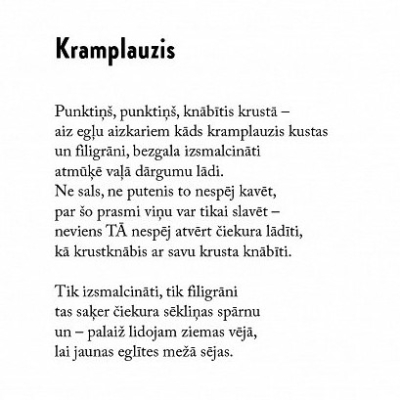 Dzejolis
