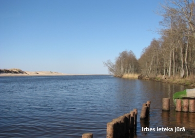Irbes ieteka jūrā.
