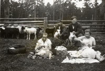Aitu cirpšana. Mazirbe, 1927. gads.