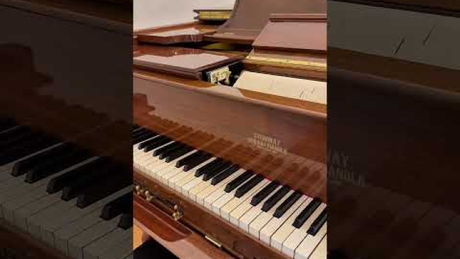 Muzejs iedvesmo! Musica brevis