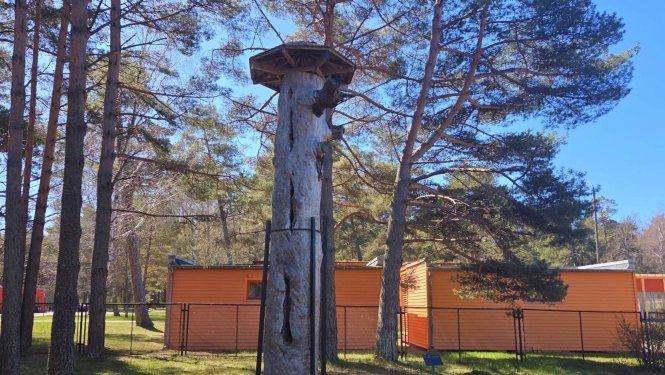 Vēstures otrdienā par seno dravniecību