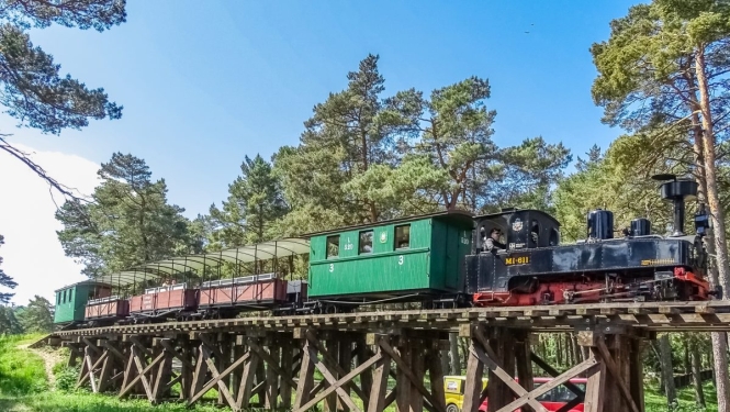 Ventspils muzeja lasītavā: eksponāts uz sliedēm. Ventspils Piejūras brīvdabas muzejā kursē unikāli krājuma priekšmeti