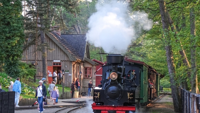 #TE IR DARBS Mazbānīša tvaika lokomotīves vadītāja palīgs