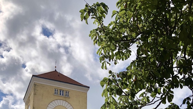 Uzsākti arheoloģiskie izrakumi Livonijas ordeņa pilī Ventspilī