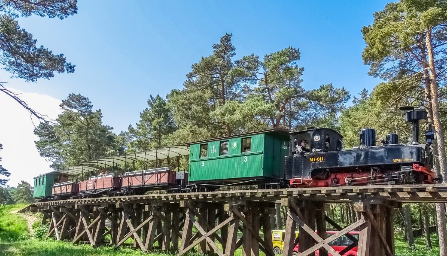 Ventspils muzeja lasītavā: eksponāts uz sliedēm. Ventspils Piejūras brīvdabas muzejā kursē unikāli krājuma priekšmeti